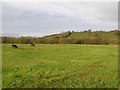 Tully Townland