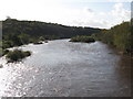 NZ0863 : The River Tyne upstream from Ovingham bridge by Mike Quinn