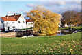 The village pond, Cranswick