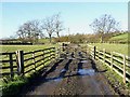 Gates near Longhorsley