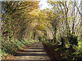 Lane off Windmill Hill, Ulcombe, Kent