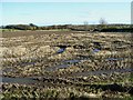 NZ1794 : Field of stubble near Fieldhead by Oliver Dixon