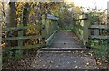 Footbridge in the Osiers Nature Area