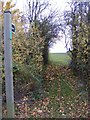 TM3468 : Segmore Lane footpath to Mill Road by Geographer