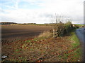 View of Open Farmland and the A616