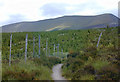 NH4266 : The path to Ben Wyvis by Nigel Brown