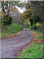 Private road at Farnham