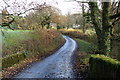 Looking  east from Bickham Bridge