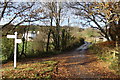 Junction at Bickham, looking towards North Huish