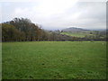 Sheep pastures above the Nant Einon