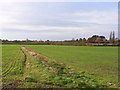 Farmland, Chinnor