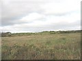 View across rough grazing towards a rocky knoll