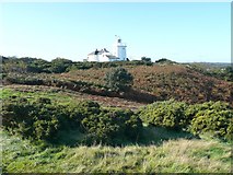 TG2341 : The lighthouse and coastal heathland, Cromer by Humphrey Bolton