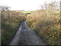 Slayley Lane - View heading Downhill