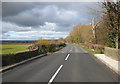 SO5243 : Road to Sutton St Nicholas by Pauline E