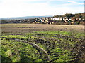 Parkgate Lane - View across farmland