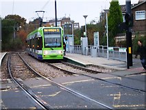 TQ2470 : Dundonald Road Tram Stop, SW19 by Phillip Perry