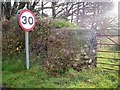 Gate Pillar, Lower Road, Llanteg