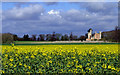 Haverholme Priory Ruins