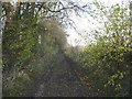 Bridleway leading from Badlesmere to Badlesmere Court Farm