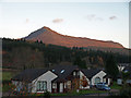 Morning sun on Goatfell