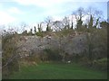 Disused quarry, Cleeve