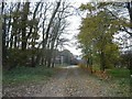 Cottam  House  Farm  field  entrance