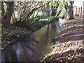 Mill leat from the weir, Wrington