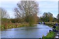 Fishing on the Kennet and Avon Canal