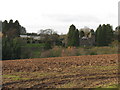 Pudleston Court from across Stretford Brook