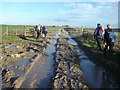 Track  through  Wold  Farm