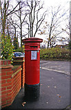 TQ3894 : Anonymous Pillar Box, The Green Walk, Chingford, London E4 by Christine Matthews