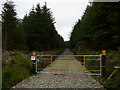 C4736 : Forest track, Crockaveeny, Inishowen by Colin Park