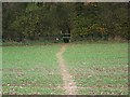 Footpath into Mean Wood