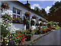 SD4888 : Floral cottage, Park End Lane, Brigsteer by Tom Richardson