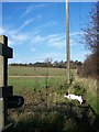 Bridleway to Higham Mill