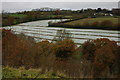 Farmland near Coldridge