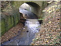 Worsbrough Reservoir  Old  Outflow