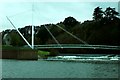 SX9192 : Footbridge over the River Exe by Jan Baker