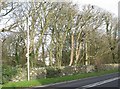 Rectory Woods and the former Llanfaelog Rectory