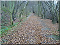 Restricted Byway heading up the hill