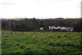 Cottages across a field, Hawkenbury.