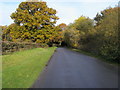 Tatchbury Lane