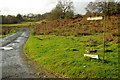 Roadway to Affallenchwerw and Llwyngarth