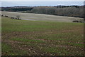 Arable land near Kingswood Farm