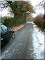 Autumnal lane with snow.