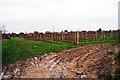 Vineyard at Wittersham