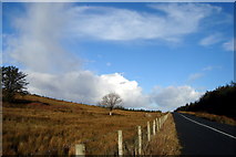 G8182 : Road at Casheloogary by louise price
