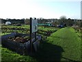 Hallingbury Road allotments