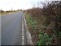 Baldersby  Milestone